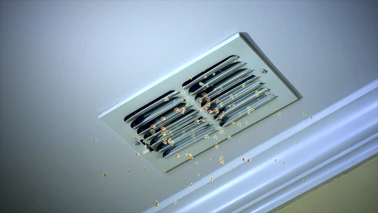 Best HVAC Duct Inspection Services  in Graham, TX